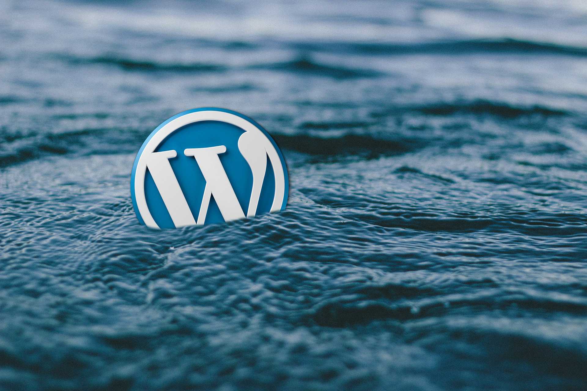 Zeigt das WordPress-Logo beim Schwimmen auf dem offenen Meer. Das Logo ist ein weißes großes W auf einem blauen Kreis