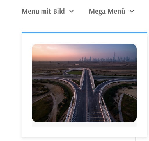 Divi Bild im Menu mit CSS anpassen