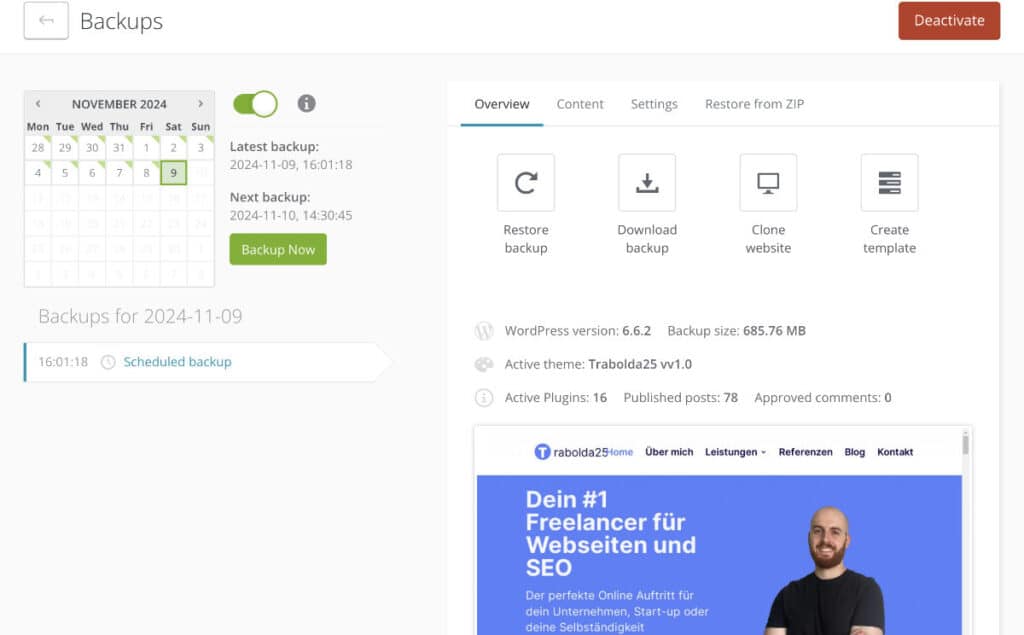 Divi Website Audit Backup durchführen